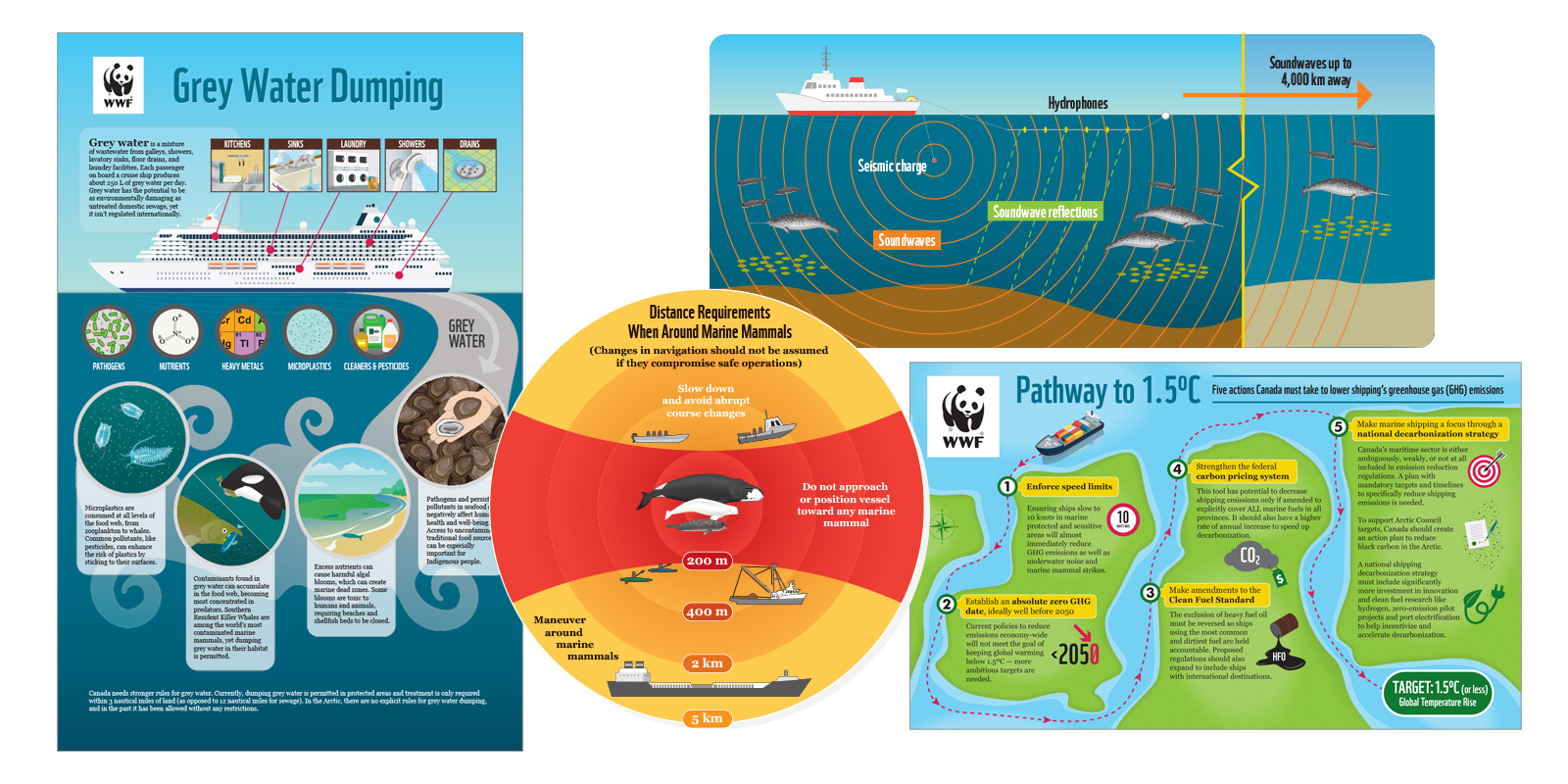Illustration and Infographics