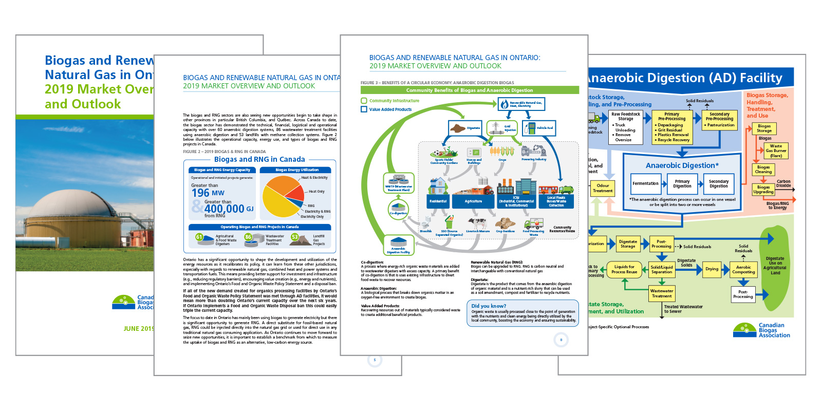 Layout Design and Illustration
