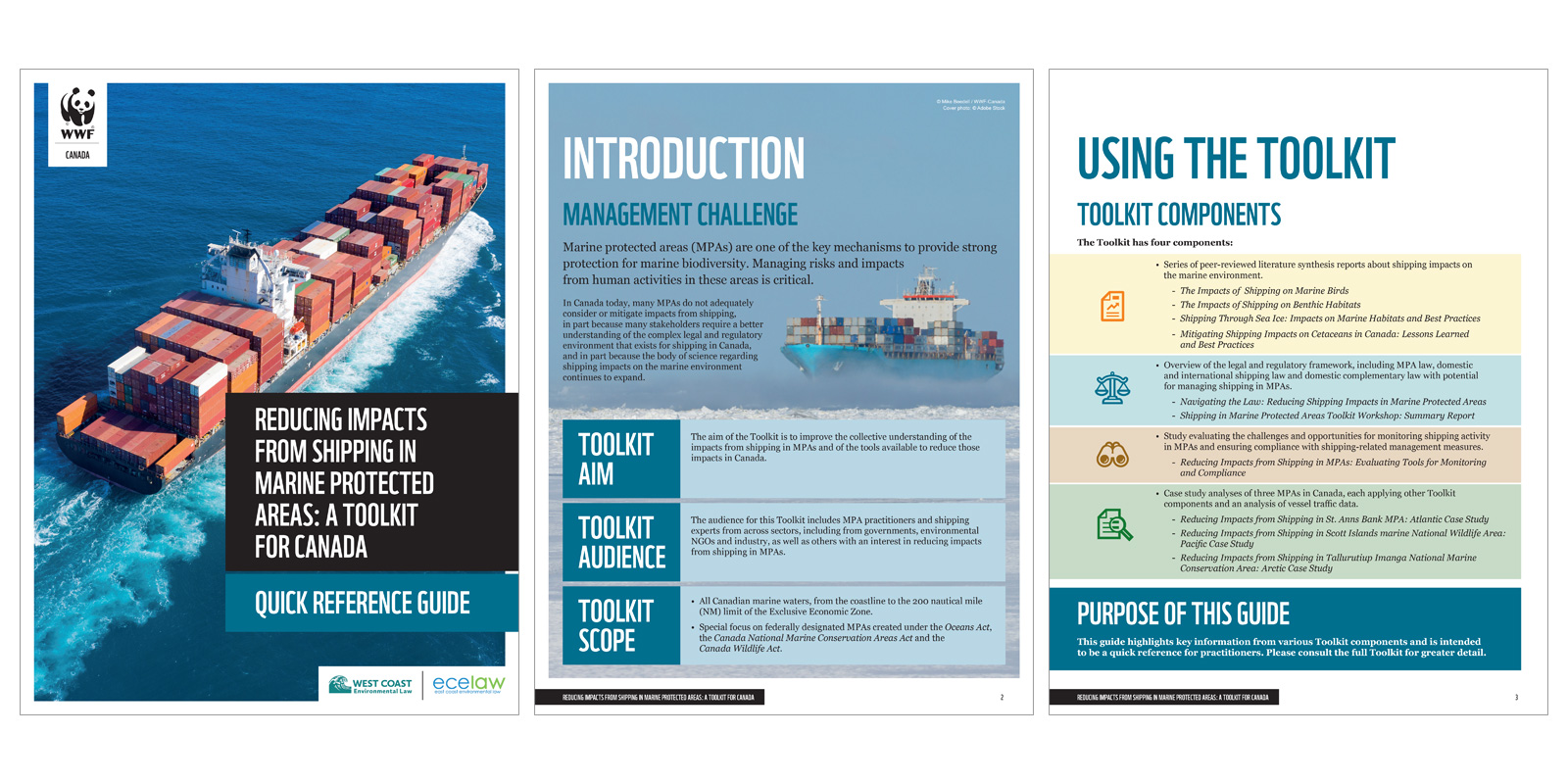 Layout Design and Illustration